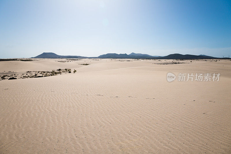 沙丘景观和地平线上的山脉-富埃特文图拉，西班牙