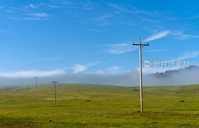 电力线在田野中被来自太平洋的雾所覆盖。加州圣西蒙，卡布里洛高速公路附近，阿罗约德尔奥索。有风的阳光明媚的春日。