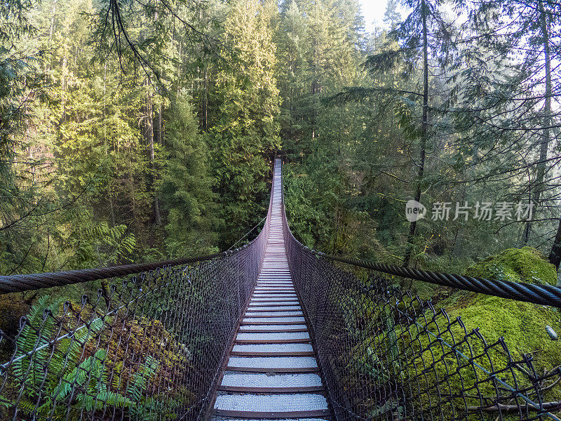 横跨热带雨林峡谷的吊桥，旁边有河