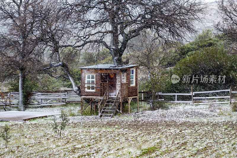 雪和树屋