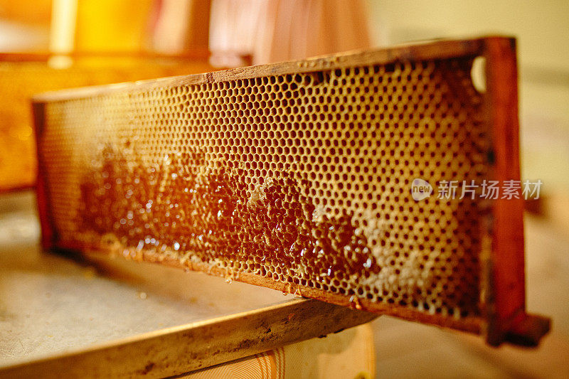 蜂蜜收获