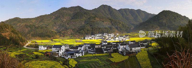 婺源油菜梯田全景图