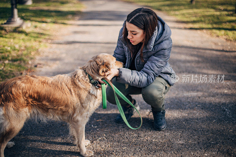 一个少女在公园里和她的寻回犬玩耍