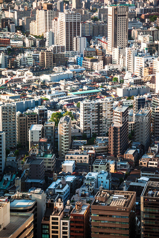 大城市景观——日本东京