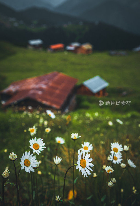 黑海和土耳其萨尔高原上美丽的日落景观