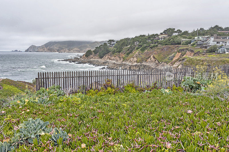 俯瞰半月湾海岸的住宅