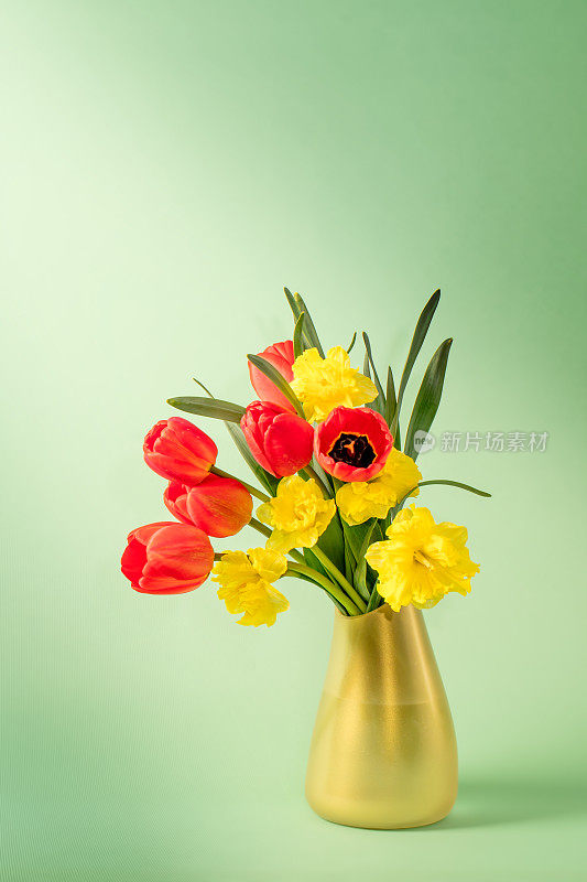 一束鲜花(郁金香和水仙花)插在花瓶里，在绿色的背景上