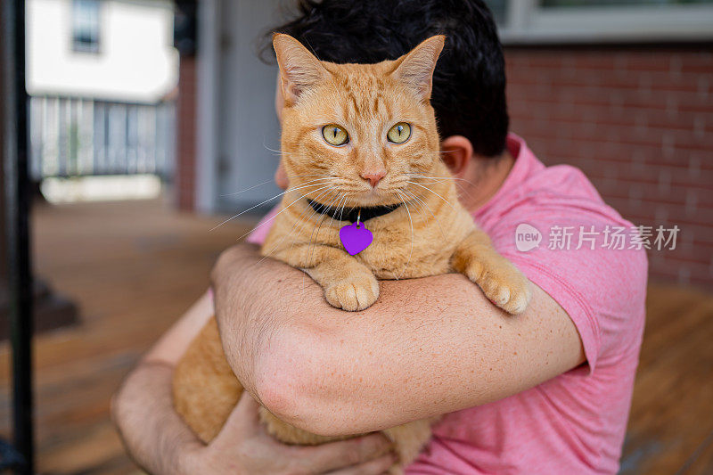 家里有只姜黄色猫的男人