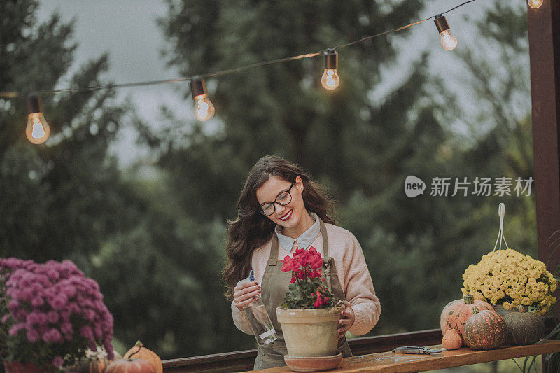 年轻女子用喷雾器种花和浇水。照顾天竺葵的女人