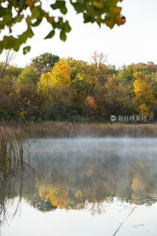 秋天早晨的湖雾