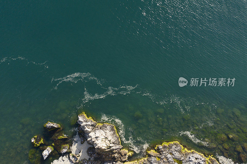 悬崖附近的海洋威胁着海洋生物