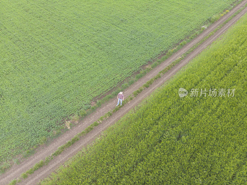 一个成年的农民在他绿色的农场里在春天的时候耕种田野。鸟瞰图。