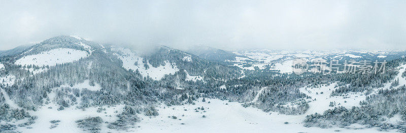 冬天的风景在雾与雪和树枝覆盖着白霜和冰冻的雪。高质量的照片