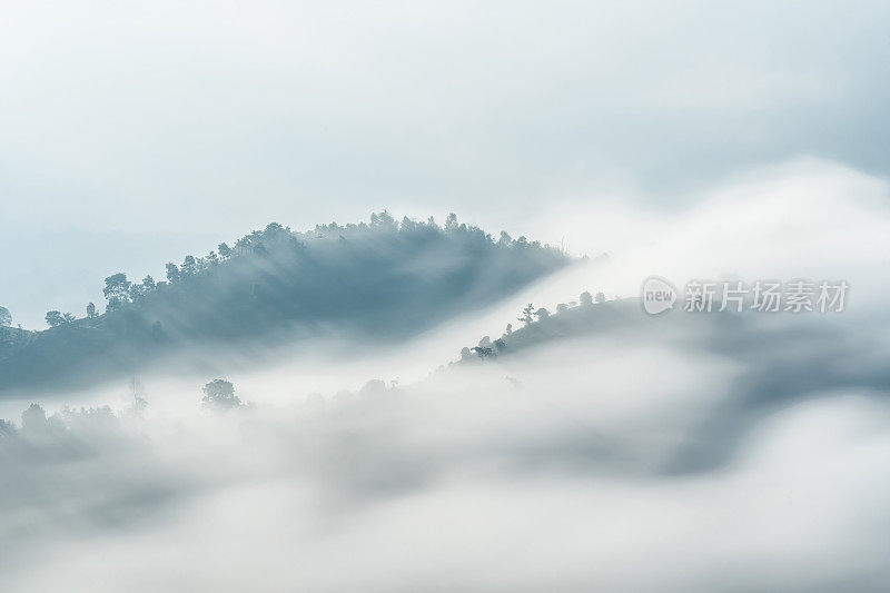 越南林东省宝禄镇林魁帕庵宝塔附近的山谷和山的美丽景色