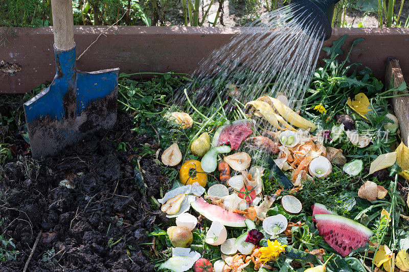 工人在给户外的堆肥箱浇水，里面装满了菜园里的棕色蔬菜和食物垃圾，蓝色的铲子在土壤里铲着
