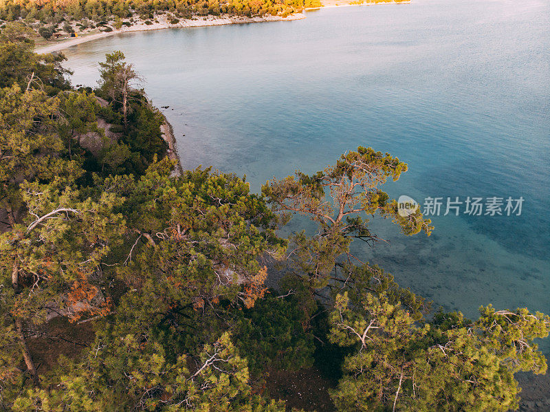 无人机观察爱琴海海岸线和松树林