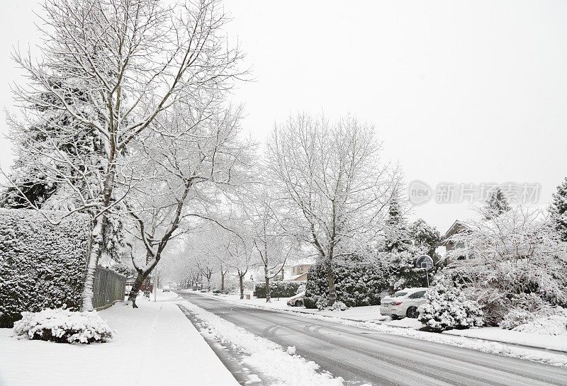 雪在一个居民区在大都市温哥华，加拿大