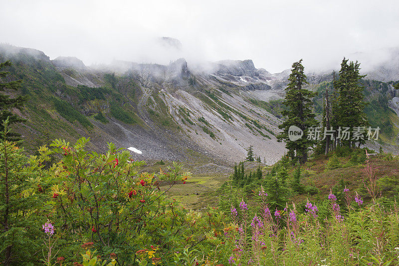 贝克山休闲区希瑟草地的风景