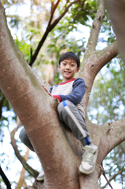 小男孩正在爬树

树