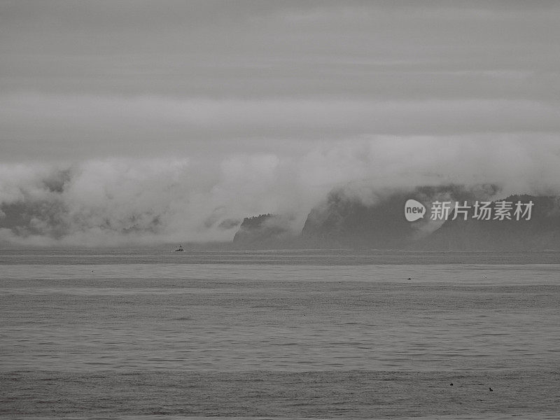 雾沿着遥远的海岸峡谷翻滚入海。俄勒冈州。