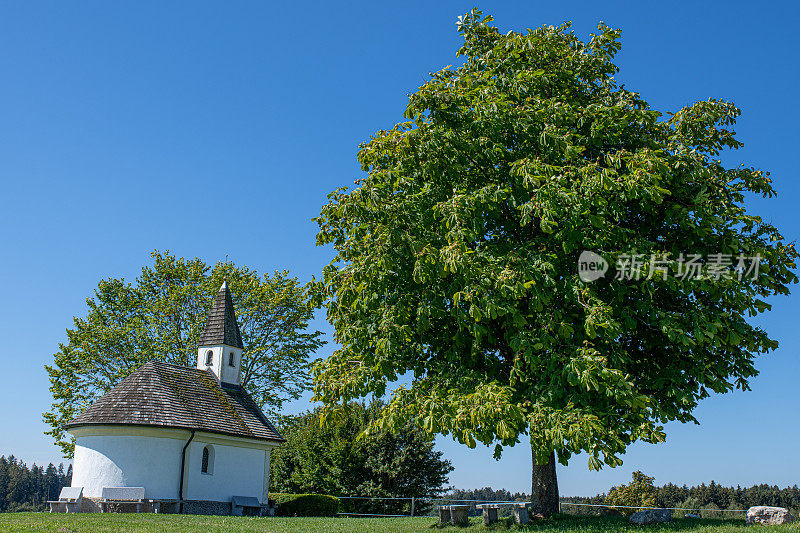 纵帆船礼拜堂旁边是一棵大的七叶栗树和赤湖