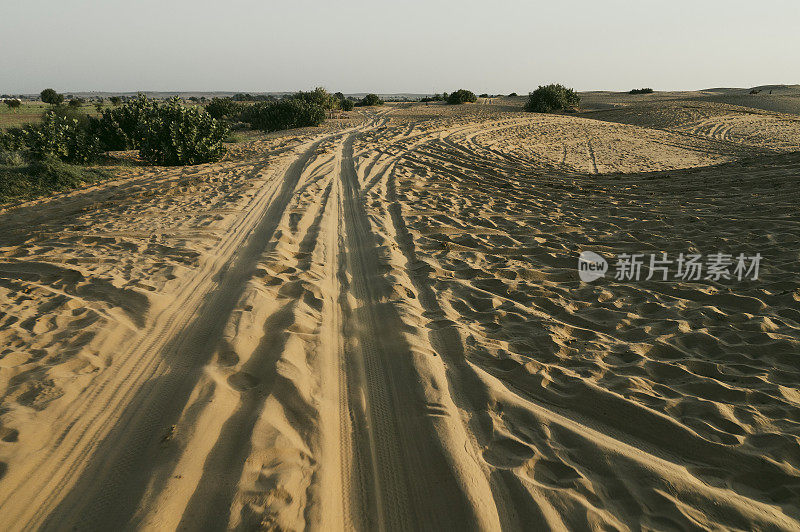 印度拉贾斯坦邦塔尔沙漠沙丘上的汽车轮胎印。游客乘车到达沙漠观看日出，这是一项非常受游客欢迎的活动。