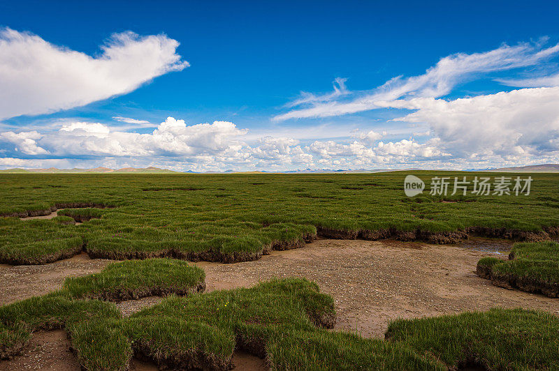 广阔的草原、湿地和遥远的山峦背景