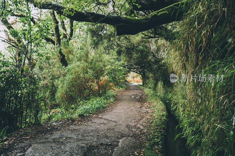 沿着葡萄牙马德拉岛的列瓦达徒步旅行