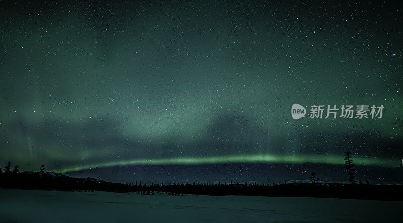 加拿大怀特霍斯附近育空地区的北极光和星星
