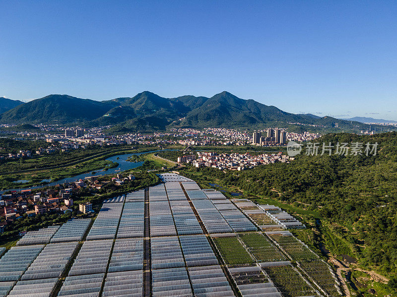 沿河的村庄和农用蔬菜大棚鸟瞰图