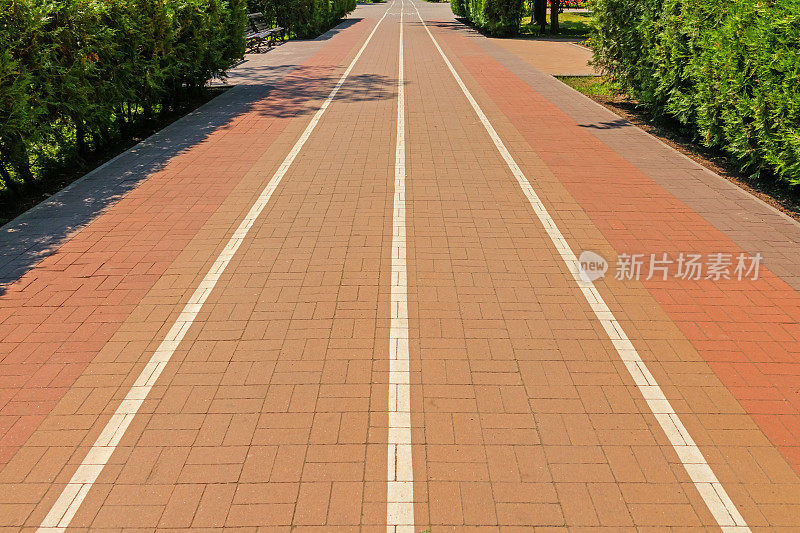 公园里一条小巷上的白色油漆标记是一条自行车道