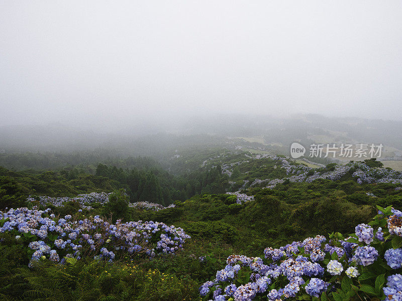 亚速尔群岛景观