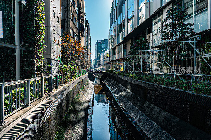 流经东京混凝土堤岸的小溪