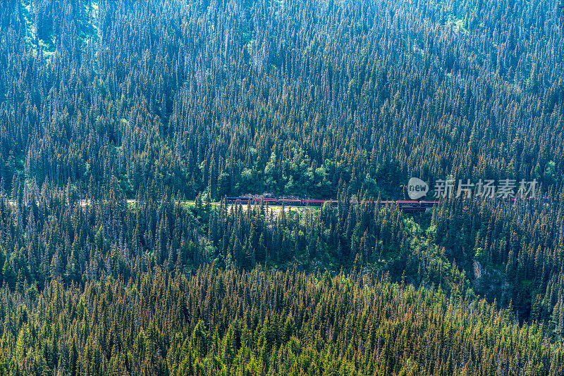 美国阿拉斯加州怀特山口山顶游览列车。