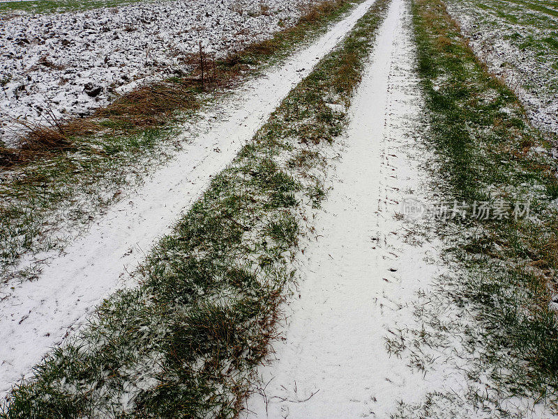 雪地上的路。两条车辙沿着田野延伸。