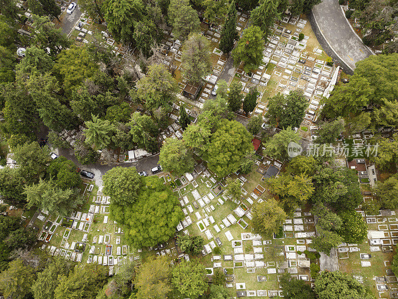 墨西哥城的墓地