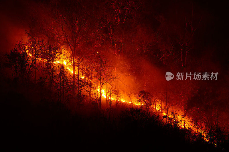 秋天，森林大火在山里燃烧。
