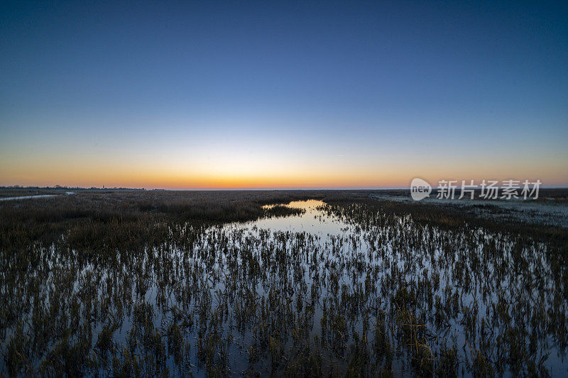 施埃尔蒙尼科格(Schiermonnikoog)初冬清晨的盐沼日出