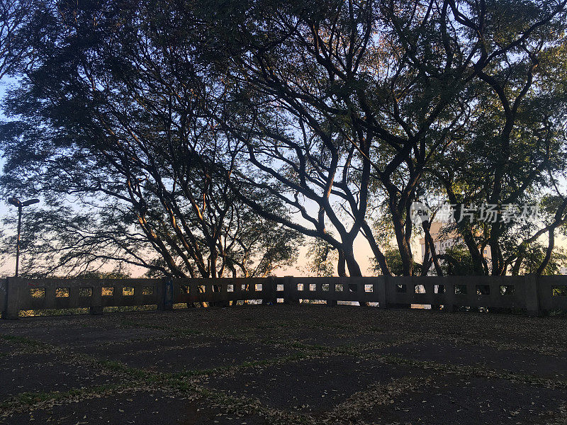 宽阔的铺有树木的院子，在日落的光照亮的背景