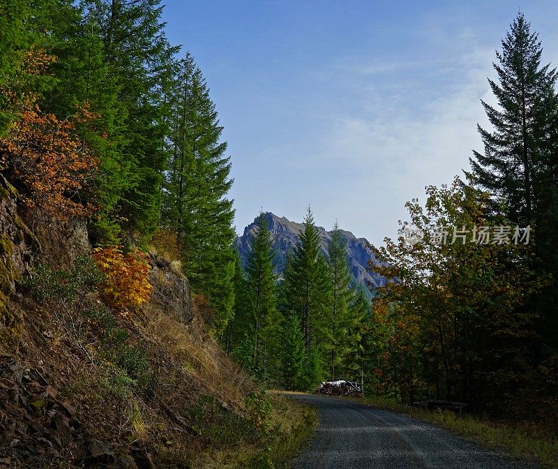 《狼岩之路》