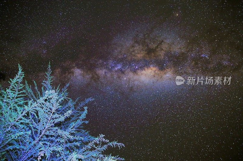 银河系上方安第斯山脉的松树——秘鲁夜间星空景观