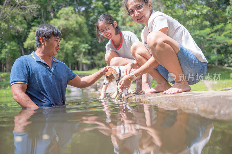 亚洲家庭玩好玩的杰克罗素梗狗在瀑布在夏天的早晨