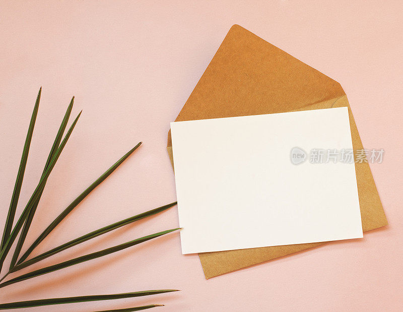 信封，白纸和粉红色背景上的棕榈叶。