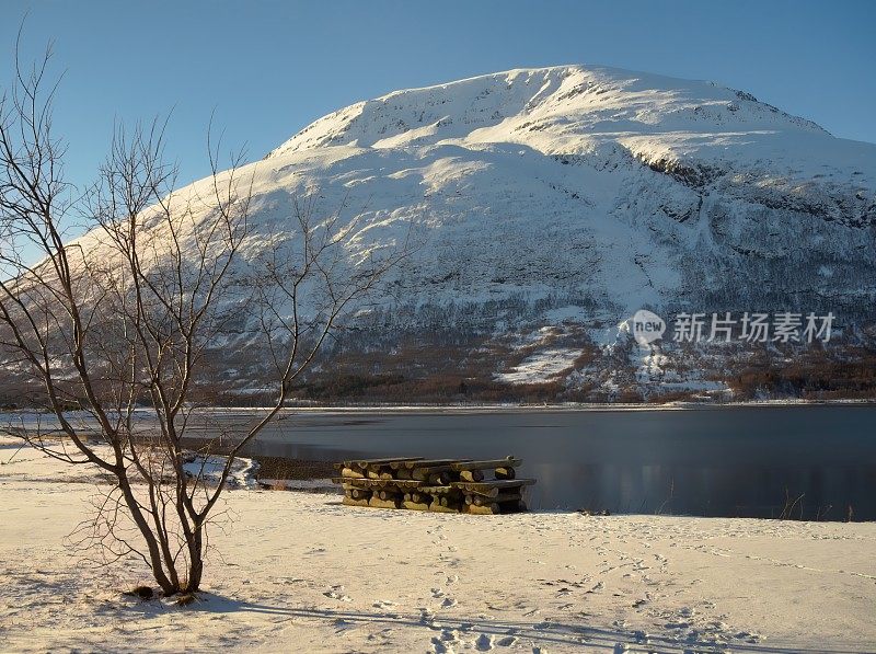 有峡湾和光秃秃的树的林根阿尔卑斯雪峰