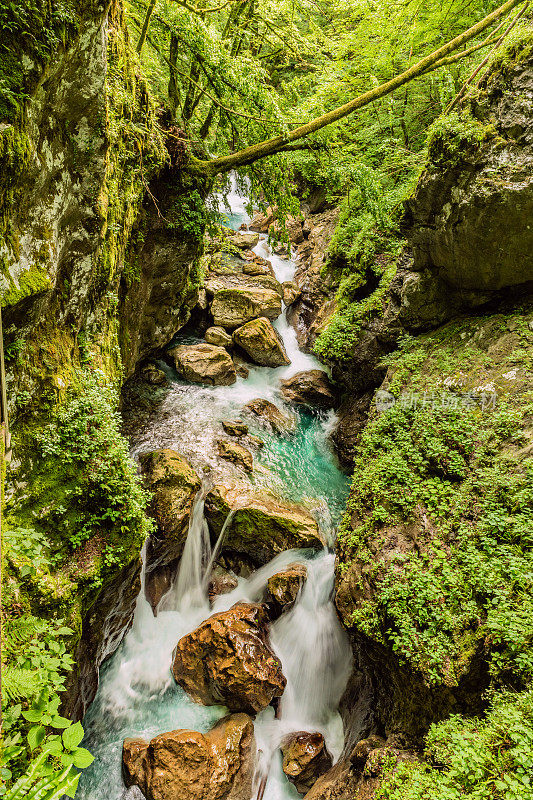 晶莹剔透的翡翠山河流之间的岩石峡谷托尔明峡谷在特里格拉夫国家公园，Primorska，斯洛文尼亚，朱利安阿尔卑斯，欧洲