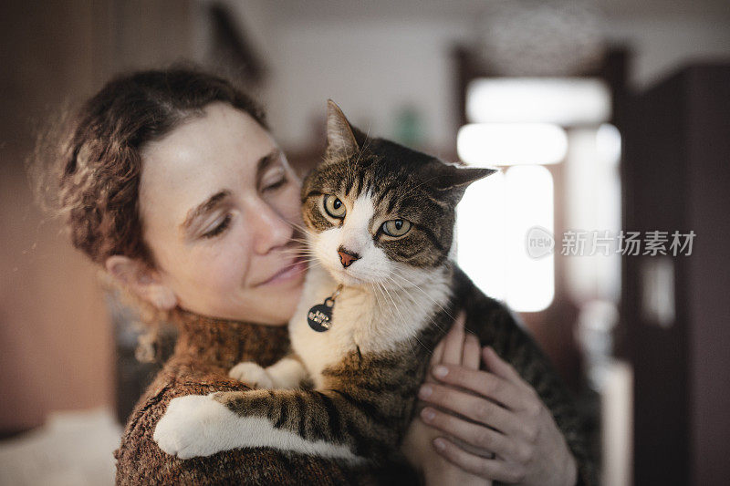 虎斑猫和一个年轻漂亮的女人