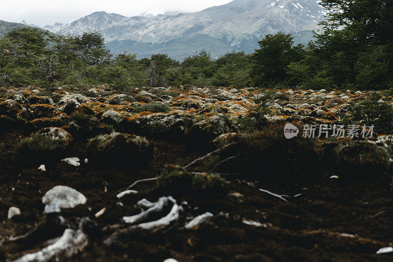 火地岛景观和泥炭沼泽