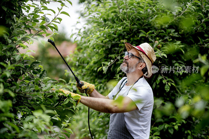 我的植物浇水