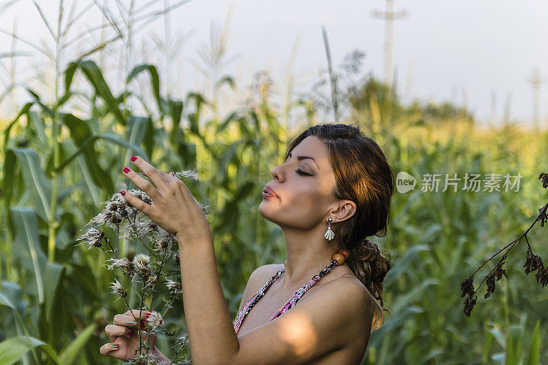 美丽的年轻女子在玉米地里开着蒲公英花。夏天室外。副本的空间。