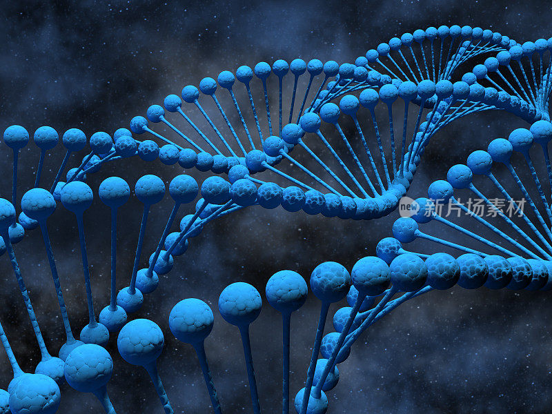 DNA三维图像